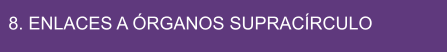 8. ENLACES A ÓRGANOS SUPRACÍRCULO